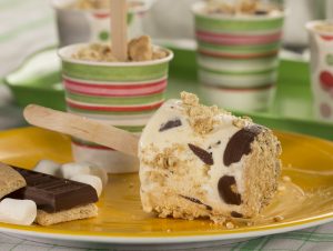 S'mores Ice Cream Pops