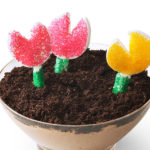 Flower Pot Cups